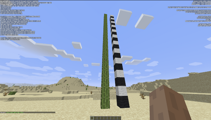 A 22 block tall cactus in a desert