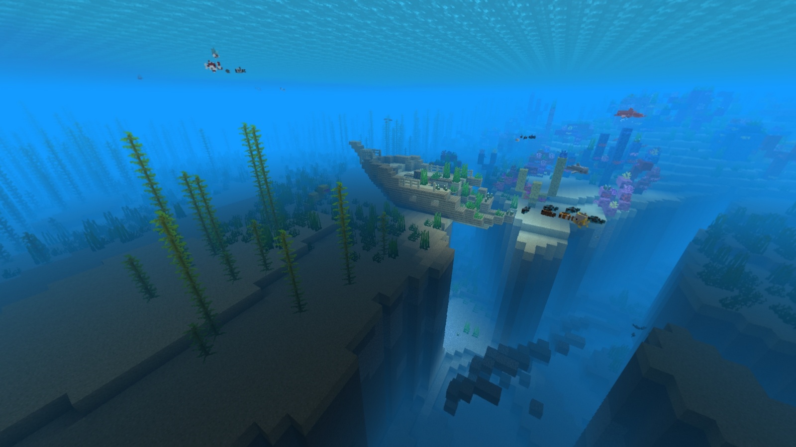 The 1.13 panorama looking at a shipwreck next to some corals