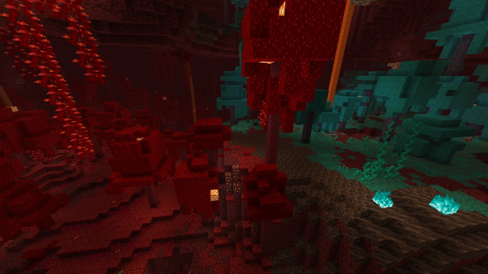 The 1.16 showing the new nether biomes crimson forest and warped forest
