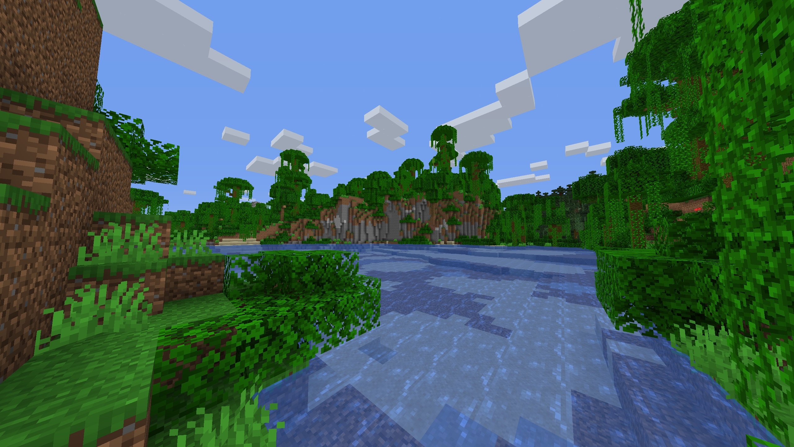 The 1.16 world with a shallow lake in a jungle with a cliff with jungle trees ontop of it in the background.